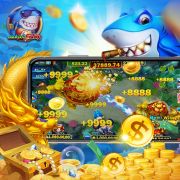 811bet. com